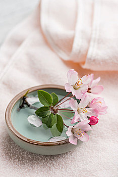 牟平月嫂工資多少？你需要了解的薪資現(xiàn)狀與發(fā)展趨勢(shì)