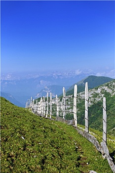 家政公司一年收入多少錢？揭秘家政行業(yè)的財(cái)富潛力
