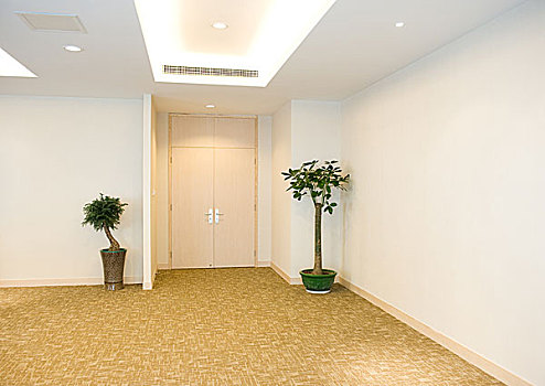 上海顧護工多少錢一天？了解上海顧護工服務及費用，讓您選擇更安心！