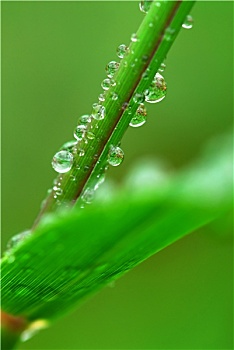 合肥當(dāng)保姆一月多少錢？薪資揭秘，機(jī)會(huì)無(wú)限！
