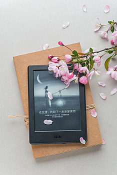 河北燕小時保姆多少錢？選擇燕小時保姆服務(wù)，輕松解決家庭難題