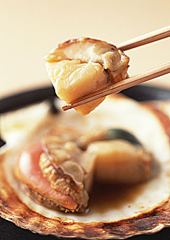大連家政服務(wù)價(jià)格解析，帶你了解服務(wù)詳情與費(fèi)用標(biāo)準(zhǔn)