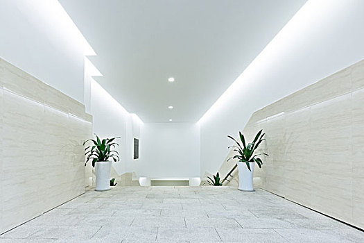 北京住家司機工資揭秘：高薪背后的潛力與挑戰