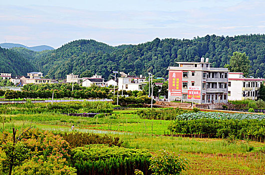 嘉興請(qǐng)保姆多少錢(qián)一個(gè)月？了解嘉興保姆服務(wù)市場(chǎng)，做聰明選擇！
