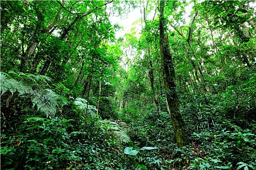 東北往事成本多少？揭秘那些背后的真相