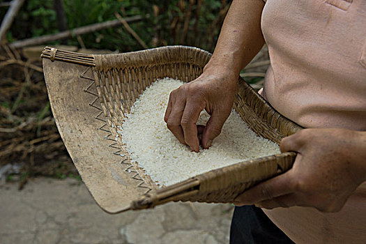 西寧月嫂多少錢？揭秘月嫂服務背后的價值與選擇技巧