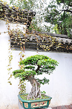 珠海親子鑒定費用是多少？深入了解珠海親子鑒定服務(wù)的價格與流程