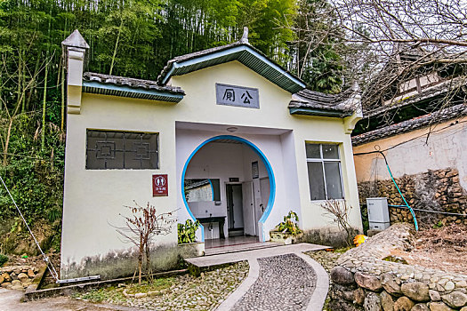 緬因貓絕育手術多少錢？了解費用背后的深層次影響