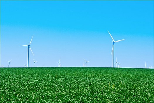 廈門市搬家電話是多少錢？選擇合適的搬家公司省錢又省心！