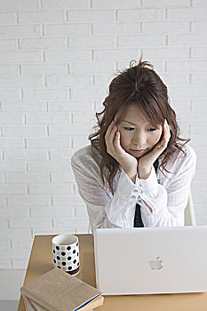 《晴雅集》多少錢回本？揭秘投資回報與成功策略