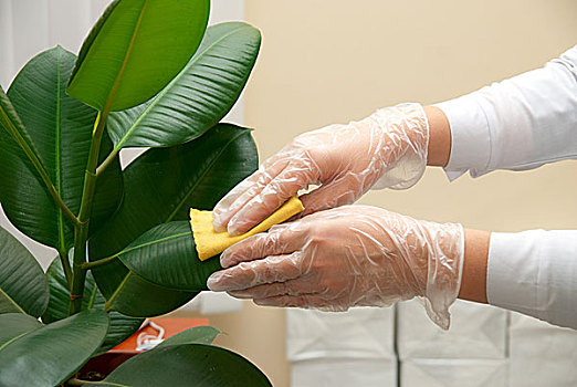 佛薩奇可以賺多少錢(qián)？揭秘奢侈品牌背后的商業(yè)價(jià)值