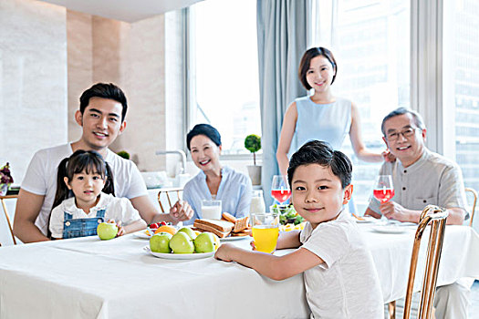 緬因貓可以養(yǎng)到多少斤？揭秘這只“巨貓”背后的秘密