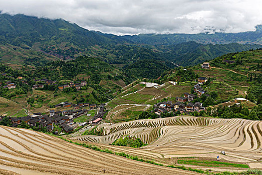 沈陽(yáng)鐘點(diǎn)工工資多少？揭秘沈陽(yáng)鐘點(diǎn)工市場(chǎng)現(xiàn)狀及發(fā)展趨勢(shì)