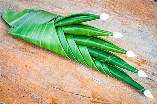 房山月嫂一個(gè)月多少錢？為您揭開月嫂服務(wù)的真相