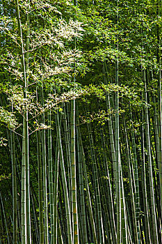 《金剛川》票房大熱，突破預(yù)期，成為電影市場的黑馬