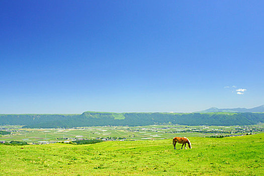 廣州市鐘點(diǎn)工多少錢？揭秘廣州鐘點(diǎn)工行業(yè)的現(xiàn)狀與選擇