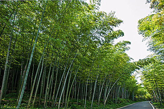 山西月嫂一月多少錢？揭開月嫂行業的真實面紗