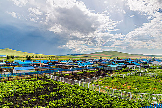洛陽家政行業的繁榮與前景