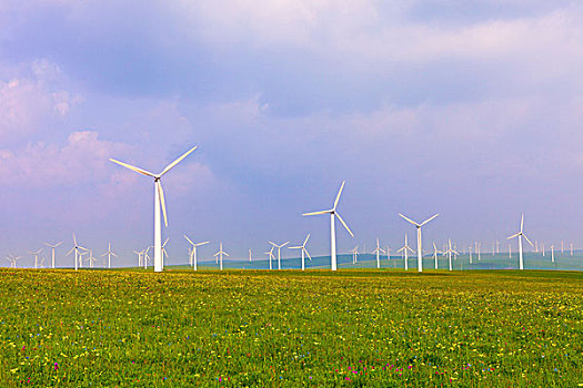 金剛川電影票價多少？探索背后的價值與意義
