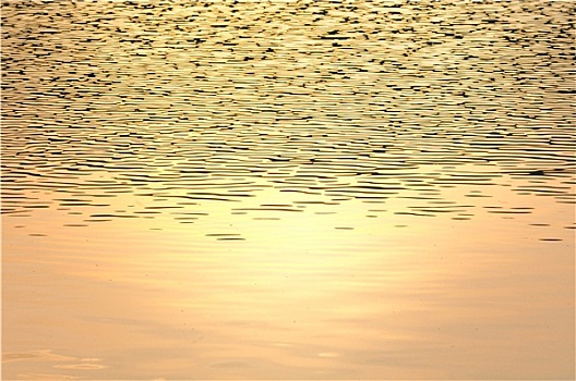 廈門(mén)月嫂工資多少錢(qián)？了解廈門(mén)月嫂行業(yè)現(xiàn)狀與薪資水平