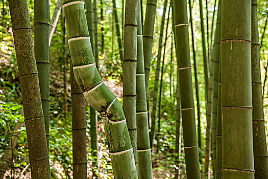 洛陽(yáng)帶娃保姆多少錢(qián)？幫您輕松解決育兒難題