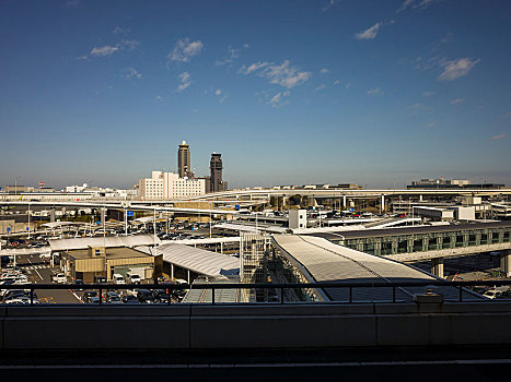 小紅花投資成本多少錢？開啟您的財富之旅