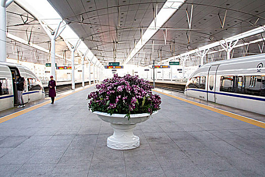 家政服務(wù)多少錢？揭秘市場(chǎng)價(jià)格，帶你了解家政服務(wù)的性價(jià)比！