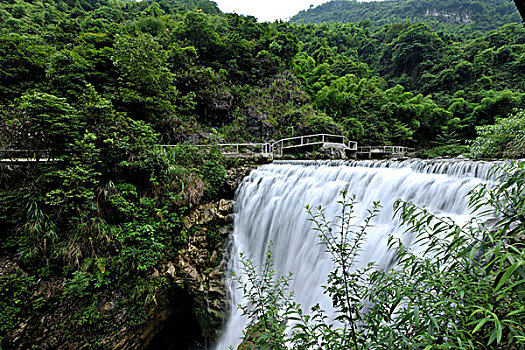探秘油耗表現：11公里油耗多少？解密節油的奧秘