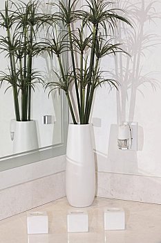 探秘油耗表現：11公里油耗多少？解密節油的奧秘