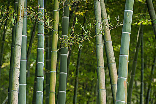 家政公司的提成是多少？揭秘行業(yè)背后的盈利模式