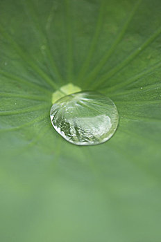 北京月嫂工資多少？揭秘北京月嫂行業(yè)的薪酬背后