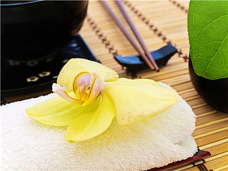 月嫂多少錢一個月？揭秘月嫂服務的真實費用與價值