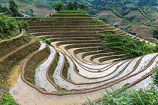 南京住家保姆月薪多少錢？選擇住家保姆的優(yōu)勢與費用解析