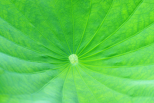 澳洲請(qǐng)個(gè)月嫂多少錢？帶你了解月嫂服務(wù)費(fèi)用的真相