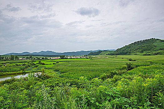 濟南住家保姆價格揭秘：如何找到最合適的住家保姆服務