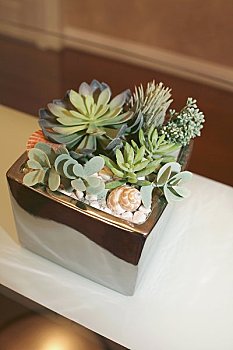 上海帶小孩工資多少？解鎖生活與工作的平衡之道