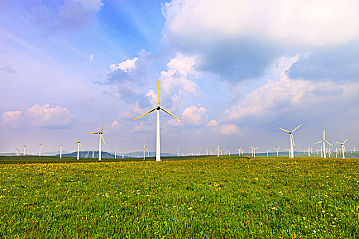 晴雅集票房多少收回成本？揭秘電影背后的成功秘訣
