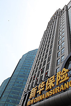 貓咪差不多多少錢？揭開養貓成本的真實面紗