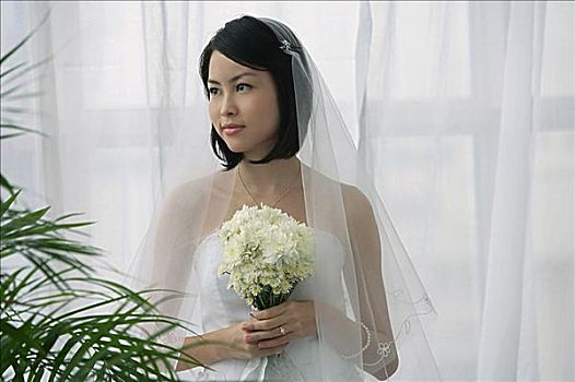 太原市月嫂服務費用解析，了解月嫂市場價格，選擇更合適的服務！