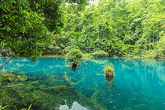 海安保姆工資多少？揭秘海安保姆市場的薪資趨勢與就業(yè)前景