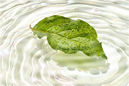 探秘油耗表現：11公里油耗多少？解密節油的奧秘