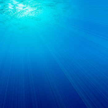 上海家政行業(yè)收入揭秘：你能在上海從事家政工作賺多少錢？