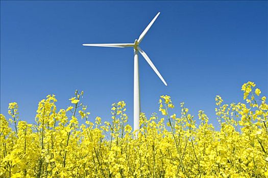 長沙保潔工資最低是多少？了解這一行業薪資現狀
