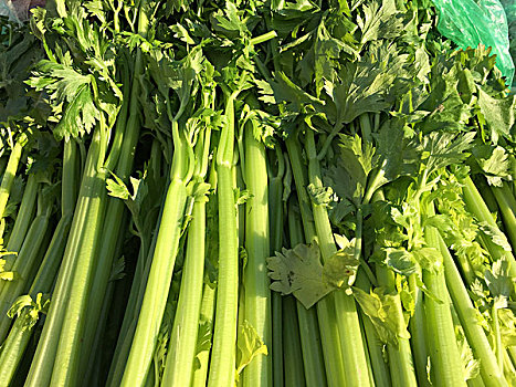 武漢菲傭價格是多少？選擇菲傭服務的最佳指南