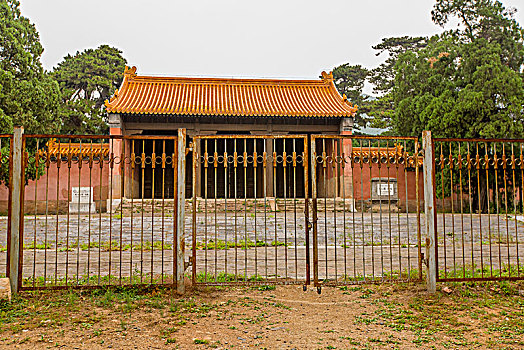 按摩康復(fù)保姆多少錢(qián)？為您揭秘背后的市場(chǎng)價(jià)值與服務(wù)特點(diǎn)