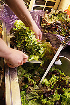 西安月嫂培訓班：投資未來，選擇月嫂培訓的最佳時機