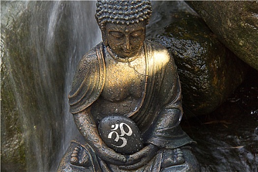送你一朵小紅花票價(jià)多少？感受最溫暖的陪伴與治愈