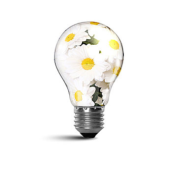 《晴雅集》票房破億，為什么它成為今年最受矚目的電影？