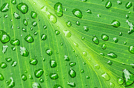 保姆培訓(xùn)要花多少錢？了解培訓(xùn)費(fèi)用與選擇技巧