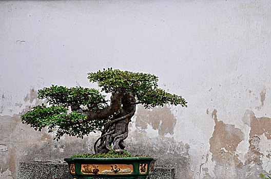 深圳月嫂公司多少錢？專業(yè)月嫂服務(wù)費用解析